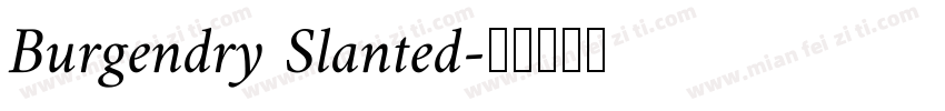 Burgendry Slanted字体转换